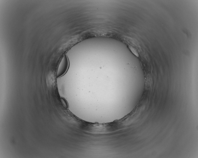 X0000115080335200911101508