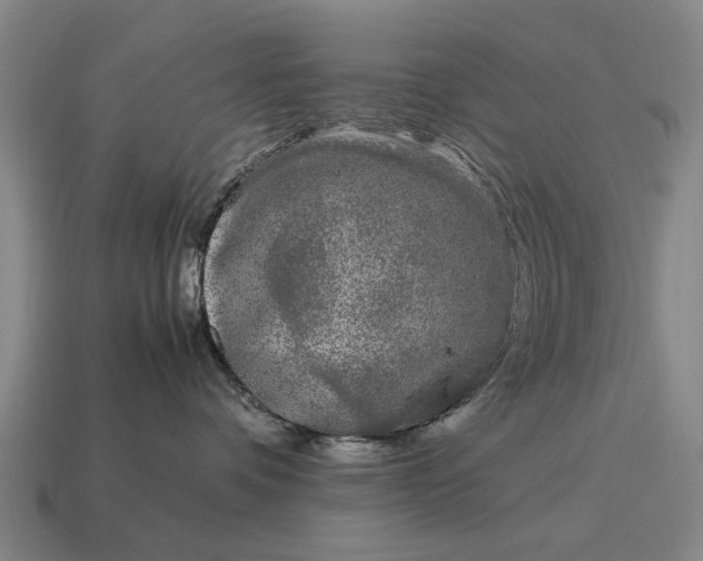 X0000115080336200911101508