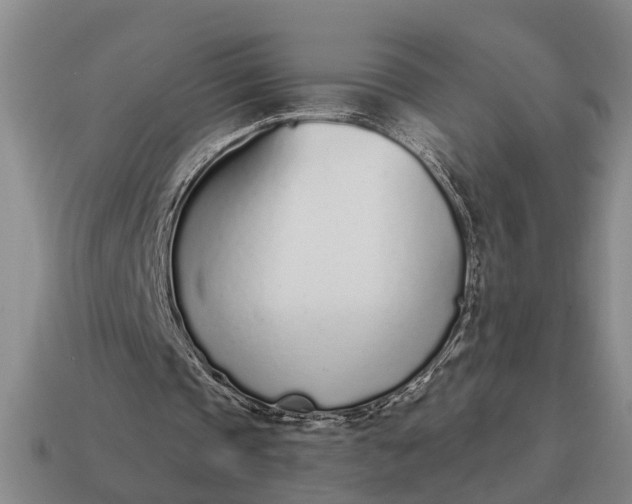 X0000115080337200911101507