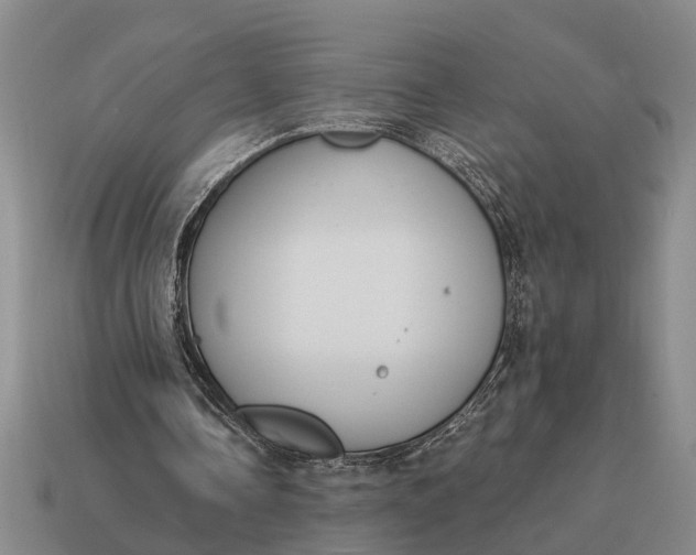 X0000115080338200911101507