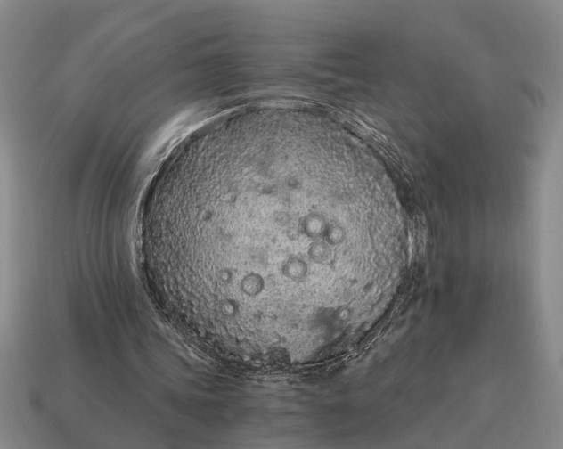 X0000115080339200911101507