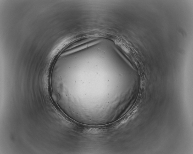 X0000115080341200911101507