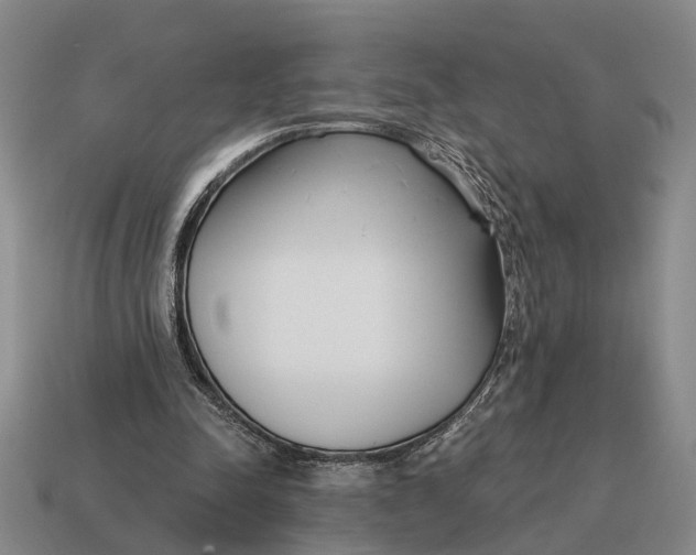 X0000115080342200911101507
