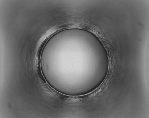 X0000115080343200911101507