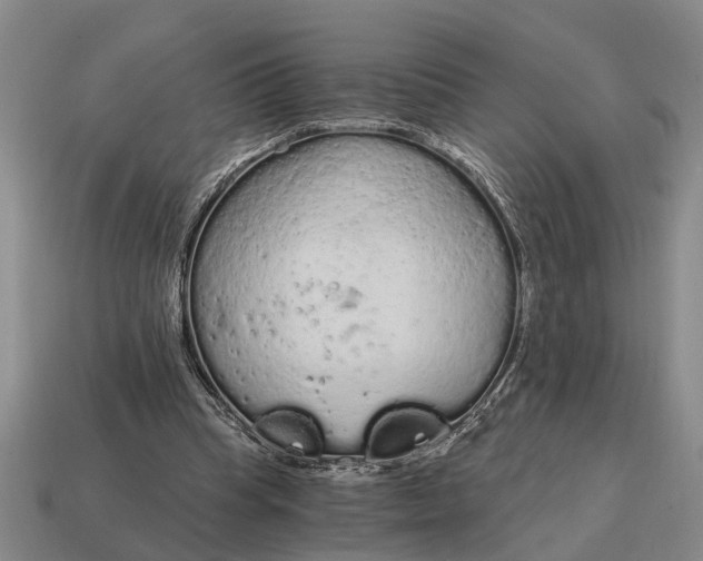 X0000115080345200911101507