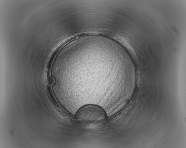 X0000115080346200911101507