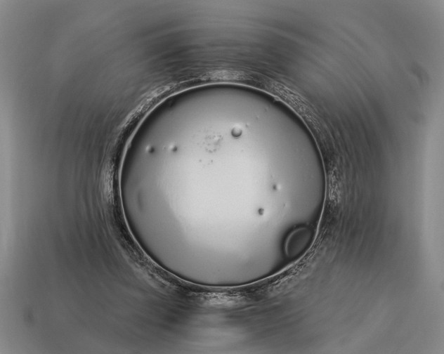 X0000115080347200911101507