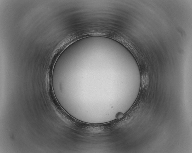 X0000115080349200911101507