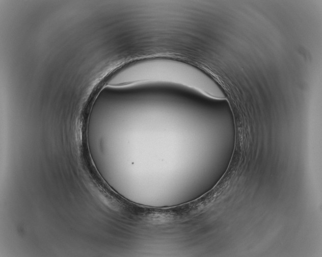 X0000115080350200911101507