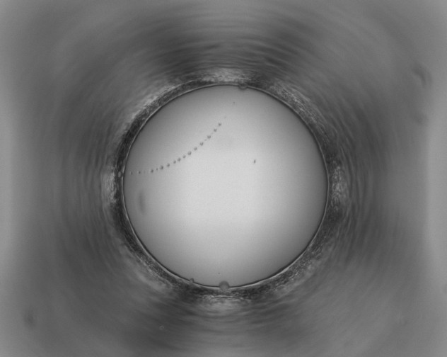 X0000115080351200911101507