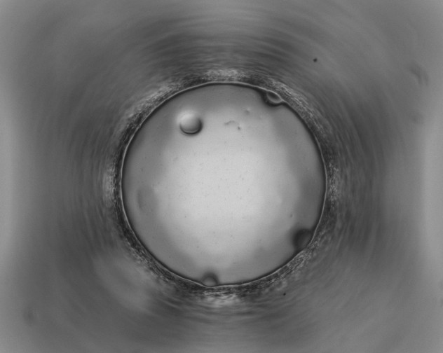 X0000115080353200911101507