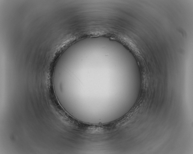 X0000115080354200911101507
