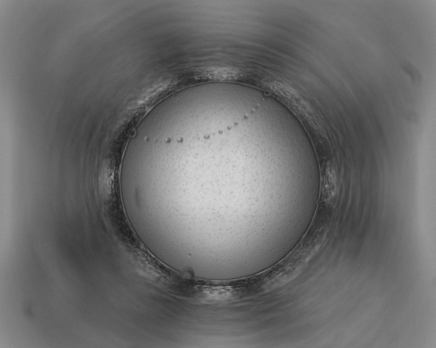 X0000115080355200911101507