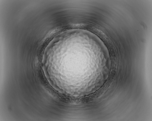 X0000115080357200911101507