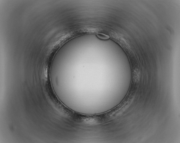 X0000115080358200911101507