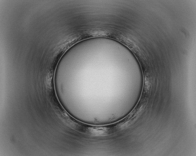 X0000115080359200911101508