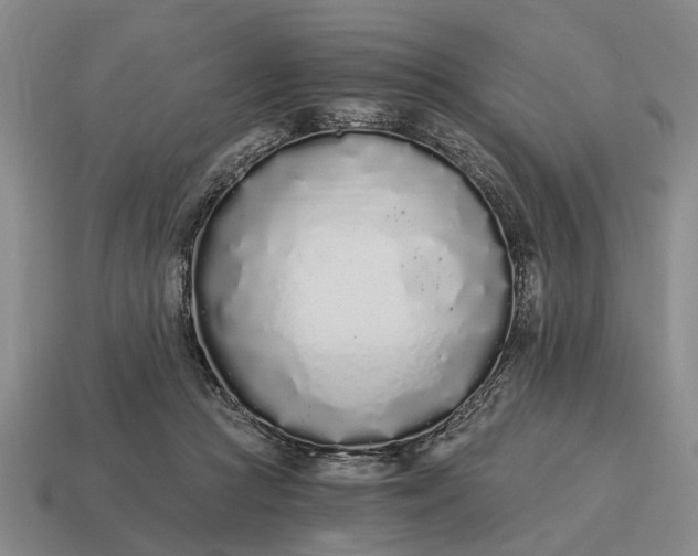 X0000115080361200911101508