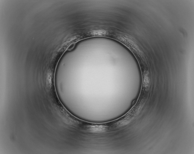 X0000115080363200911101508
