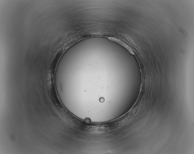 X0000115080366200911101508