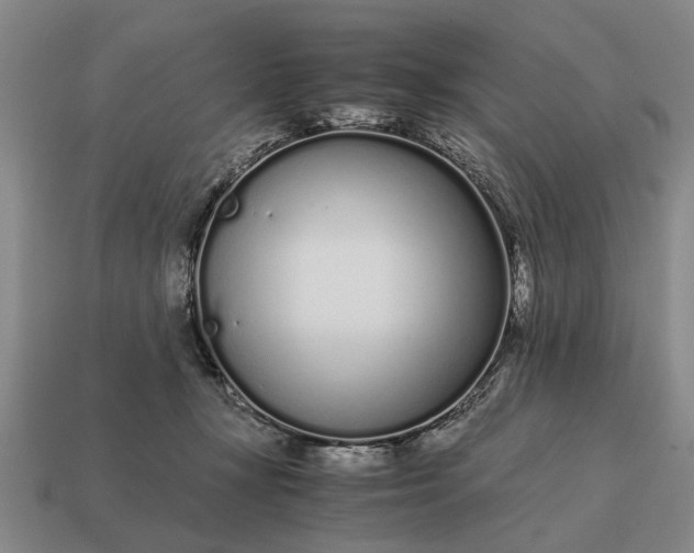 X0000115080367200911101508