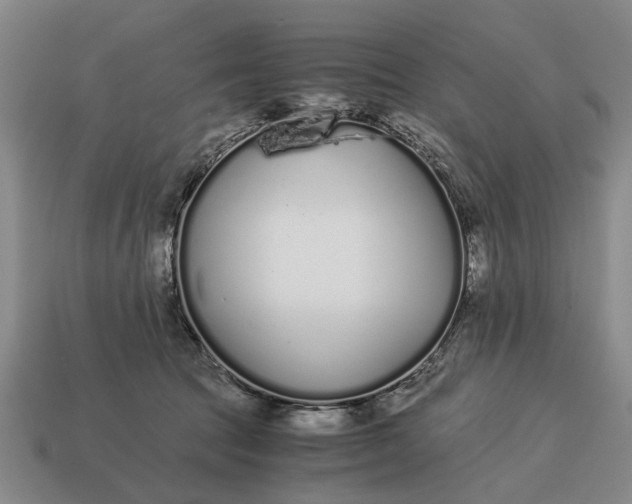 X0000115080369200911101508