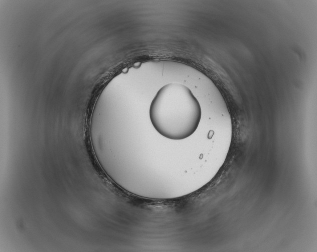 X0000115080370200911101508