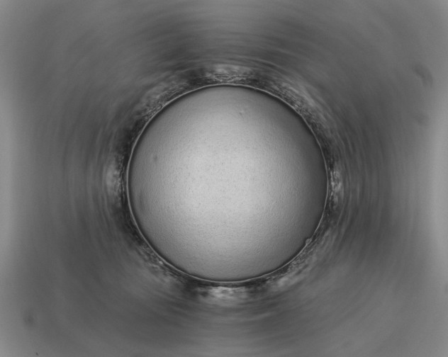 X0000115080371200911101508