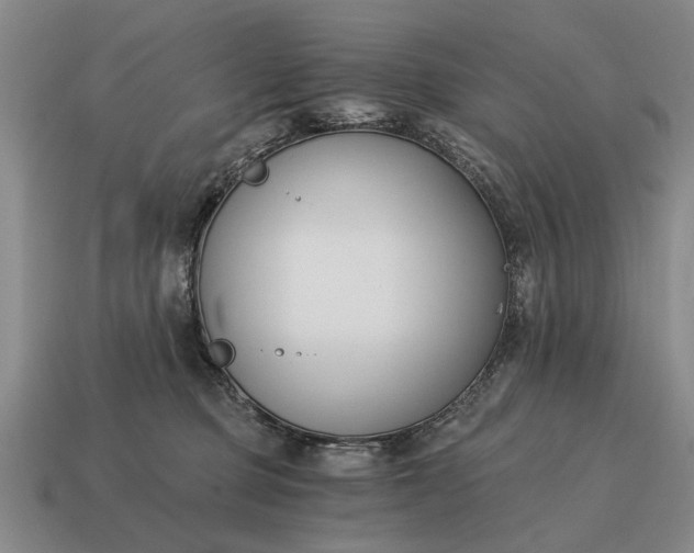 X0000115080373200911101508