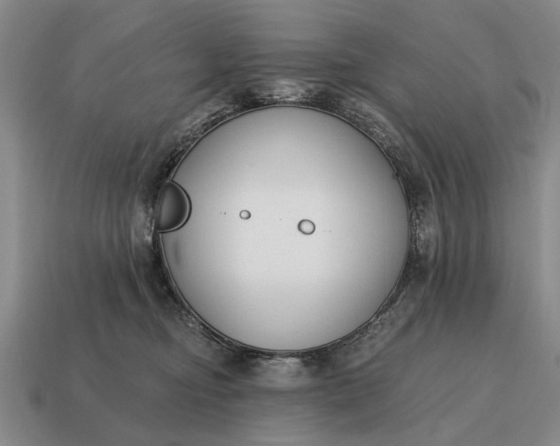 X0000115080374200911101508