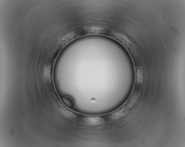 X0000115080377200911101508