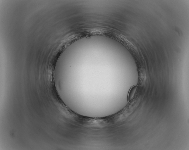 X0000115080379200911101508