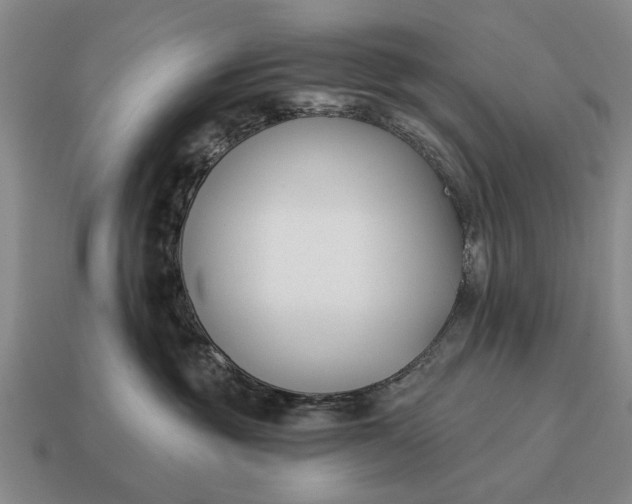 X0000115080381200911101508