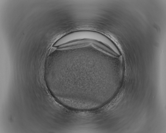 X0000115080385200911101507