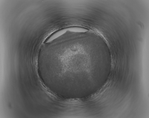 X0000115080386200911101507