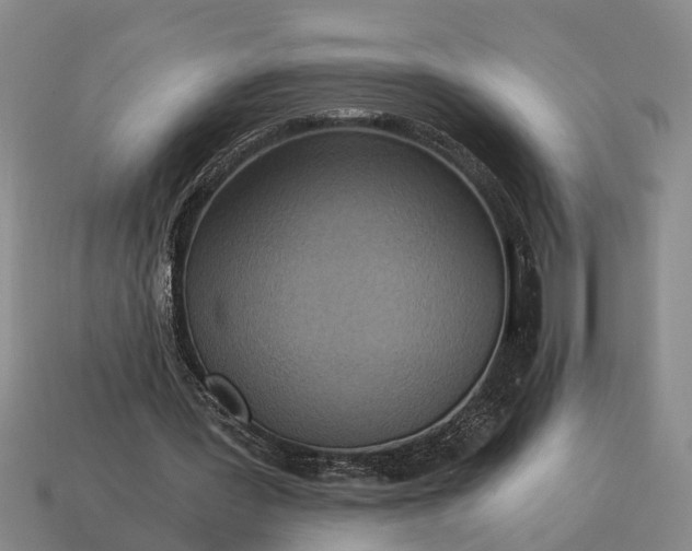 X0000115080387200911101507
