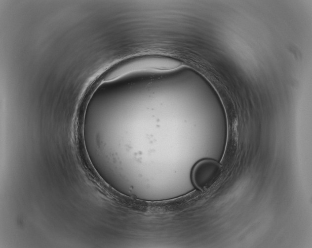X0000115080388200911101507