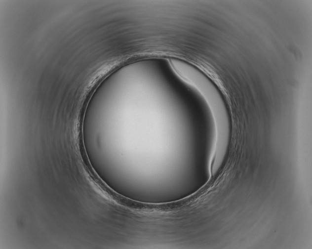 X0000115080389200911101507