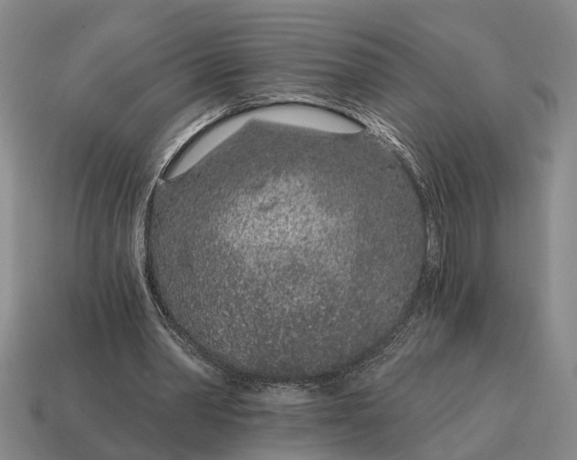 X0000115080390200911101507