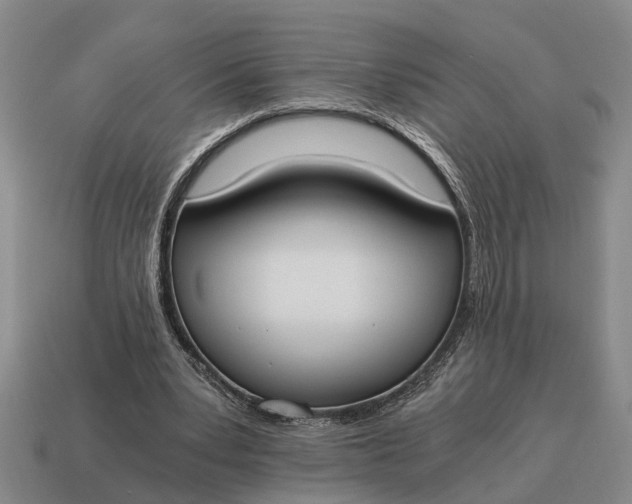 X0000115080391200911101507