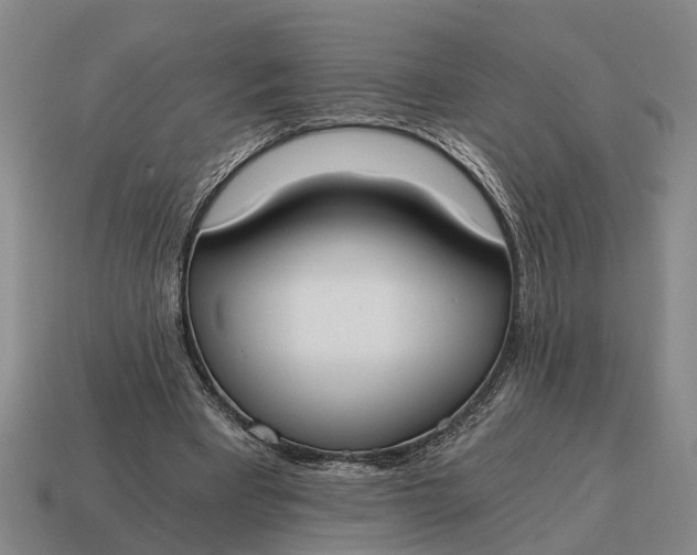 X0000115080393200911101507