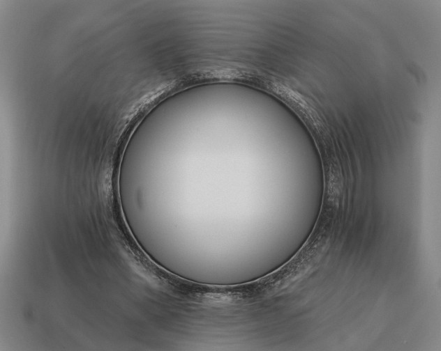 X0000115080394200911101507