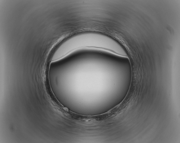 X0000115080395200911101507