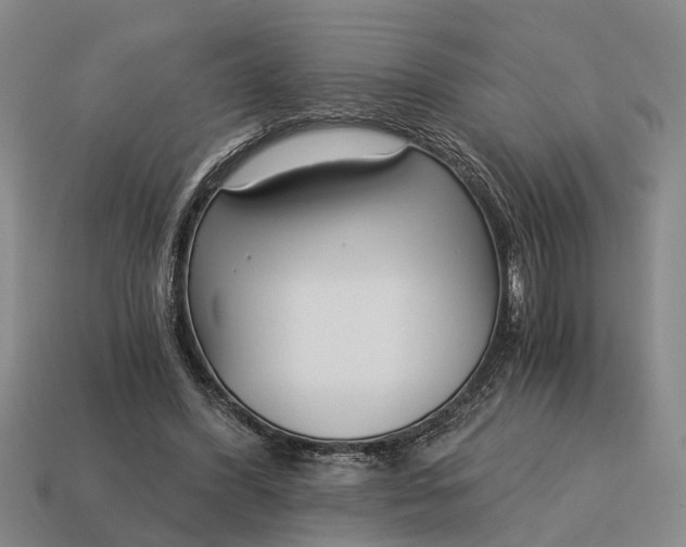 X0000115080396200911101507