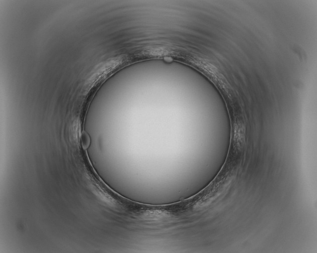 X0000115080397200911101507