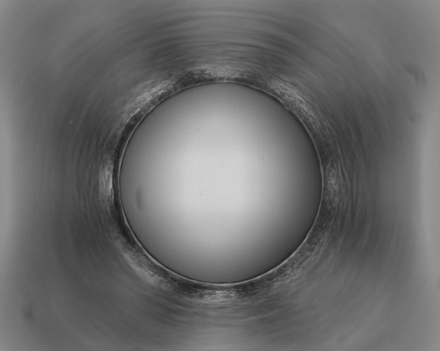 X0000115080398200911101507