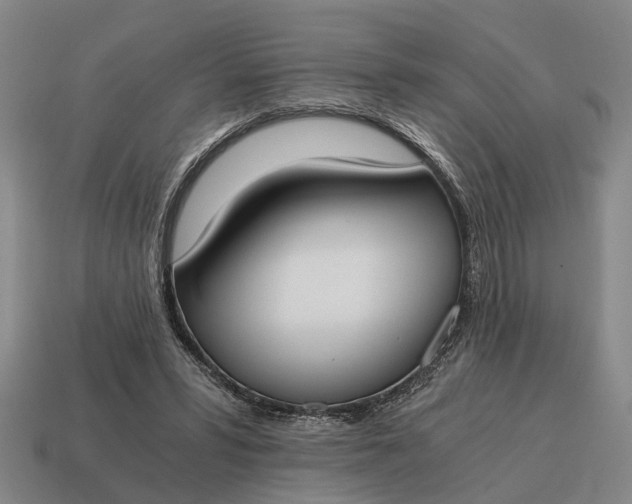 X0000115080399200911101507