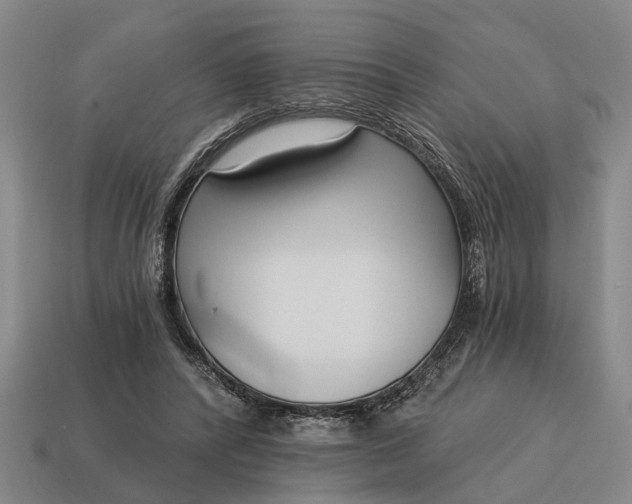 X0000115080400200911101507