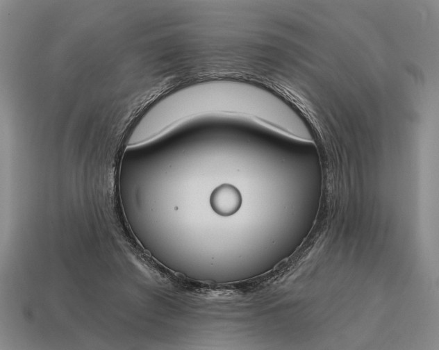 X0000115080401200911101507