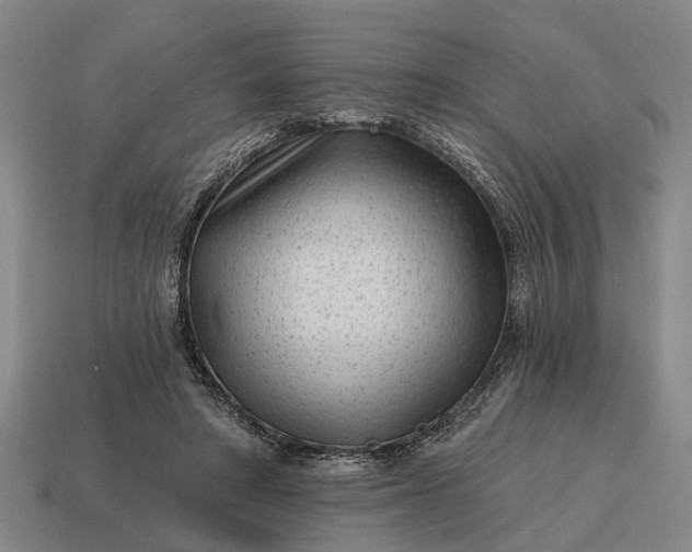X0000115080402200911101507