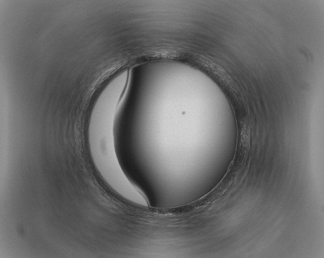 X0000115080403200911101507